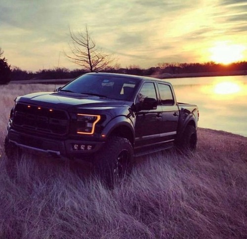 F-150 Rapture