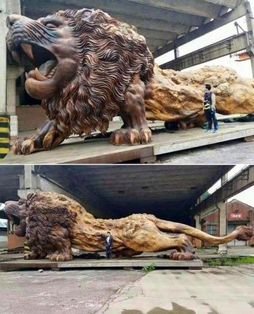 Giant lion sculpture carved from a single dead Redwood tree. It...