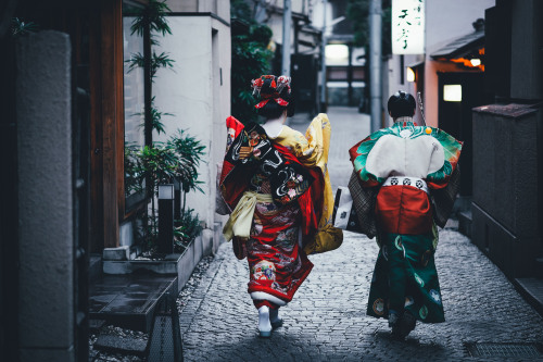 takashiyasui:Kagurazaka, Tokyo