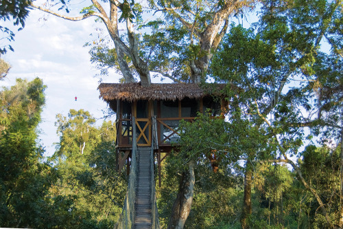 treehauslove:Inkaterra Canopy Treehouse. A treehouse perched...