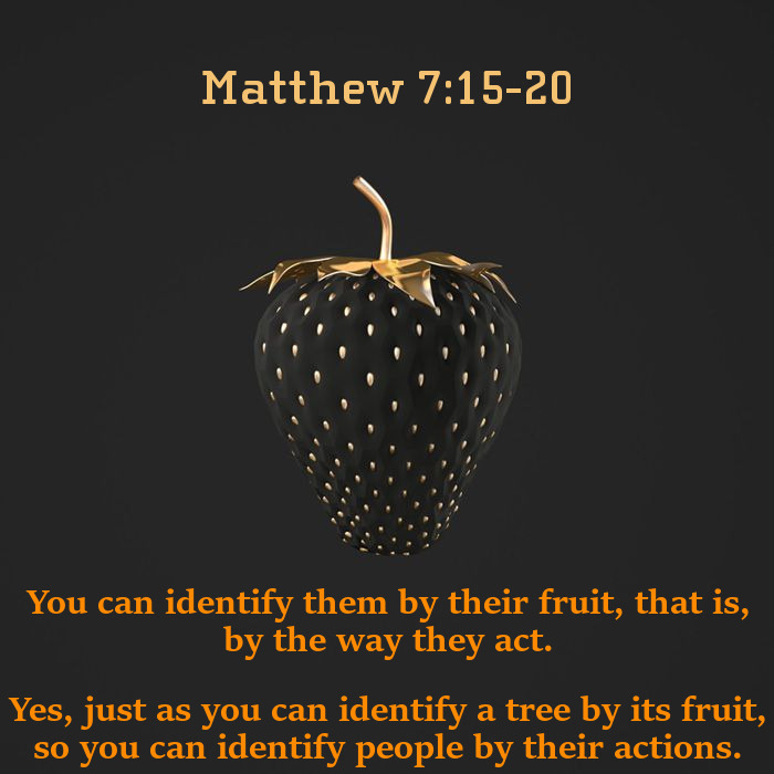 matthew-7-15-20-nlt-beware-of-false-prophets-faithful-in-christ