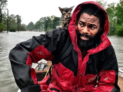 Robert Simmons Jr. and his kitten Survivor are rescued from...