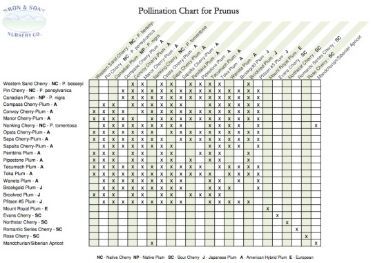 Cross Pollination Chart