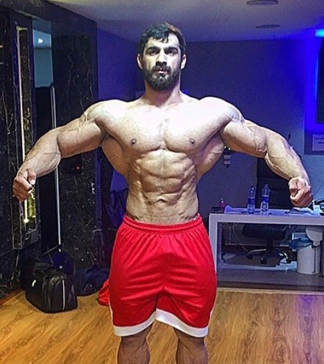 musclegodselfies:Mohammad Zolfaghari