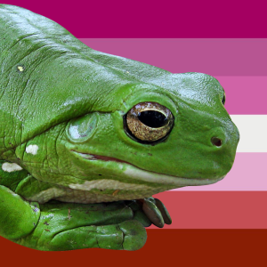 pansexual-frogs | Tumblr