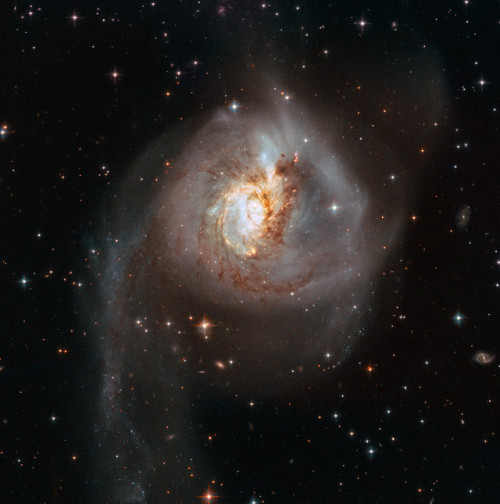 space-pics:Cosmic collision lights up the darkness - NGC 3256...