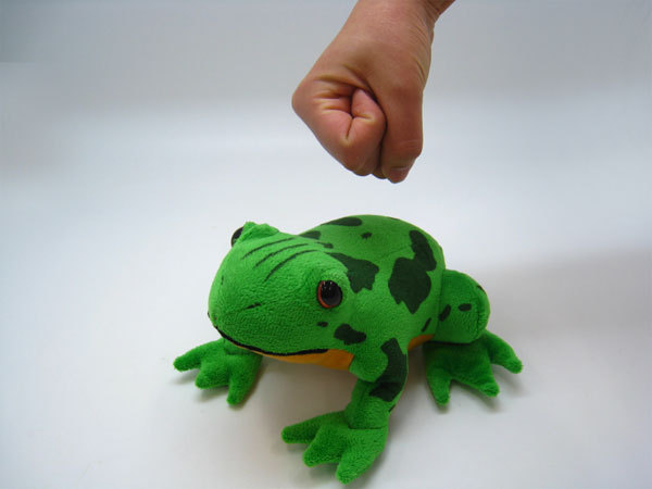 hamon frog plush