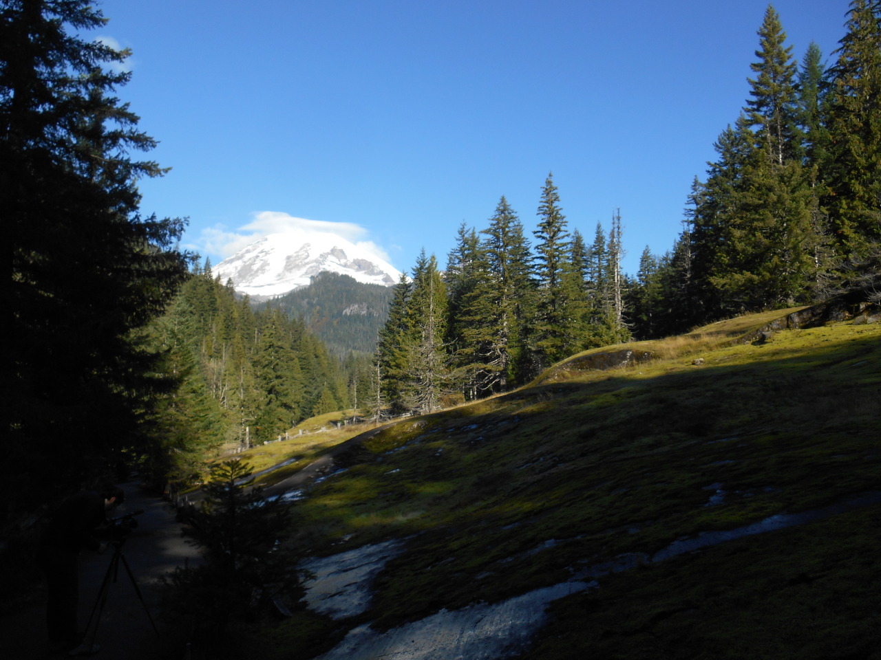 Mount Rainier National Park Box Canyon Such A Wonderful Place To   Tumblr Inline Pag4myHia91v1dlf2 1280 