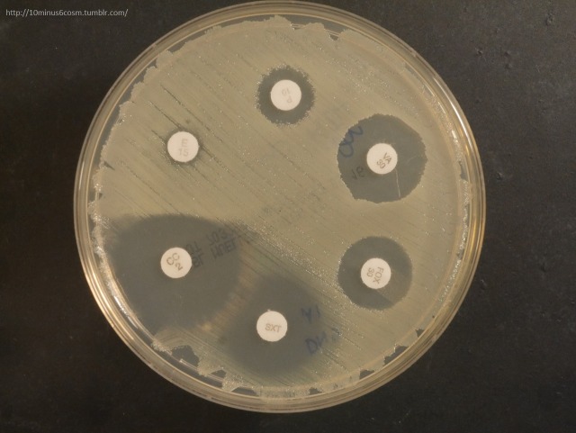 MICROCOSM | Antimicrobial Resistance Series 10: MRSA in...