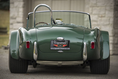 1965 Shelby Dragon Snake Cobra