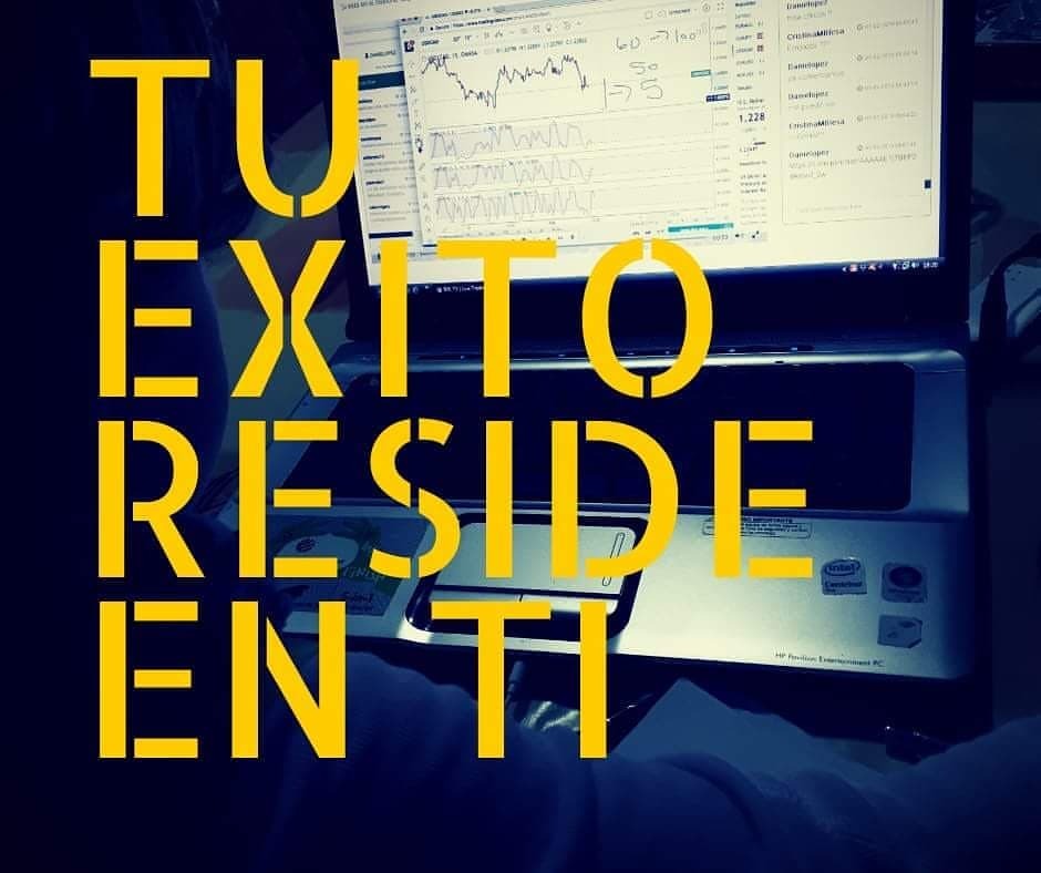 Forex y network marketing