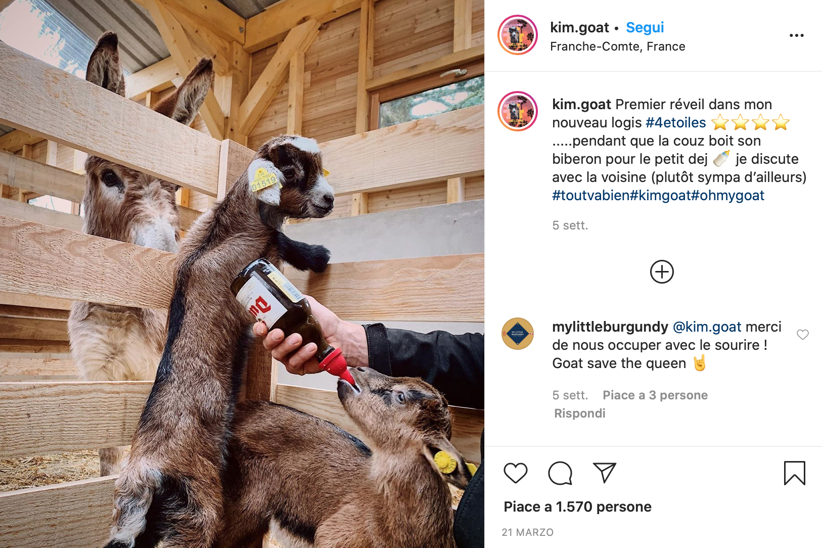 Il Profilo Instagram Della Capretta Di Pinot E Una Favola Bidon