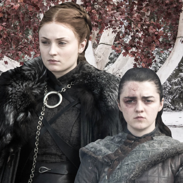 GoT Ladies I Thought We Could Use Some More Stark Sis