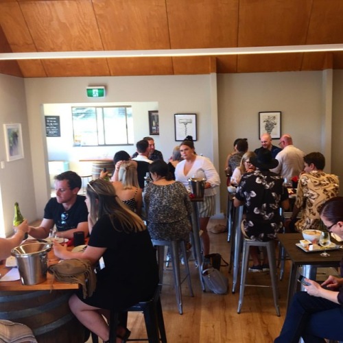 <p>What better way to spend the #nswelection2019 than #winetasting with friends (at Cuttaway Hill Wines)<br/>
<a href="https://www.instagram.com/p/BvVi3mdloh7/?utm_source=ig_tumblr_share&igshid=k0t1htpuisuk">https://www.instagram.com/p/BvVi3mdloh7/?utm_source=ig_tumblr_share&igshid=k0t1htpuisuk</a></p>
