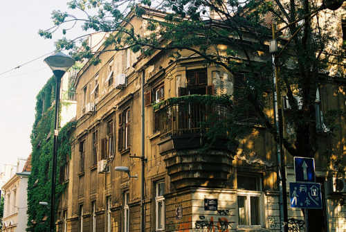 harlings:Old facade, Belgrade by Tijana...