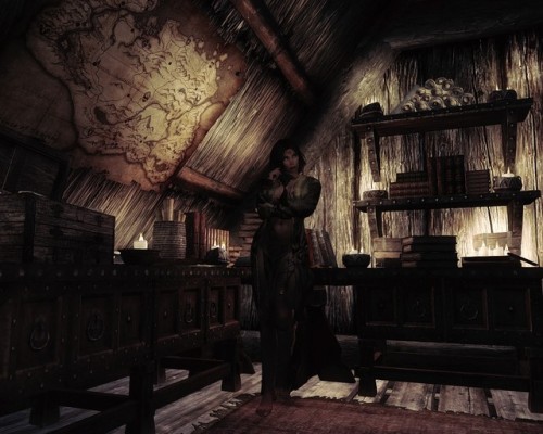 Skyrim portable house mod 9