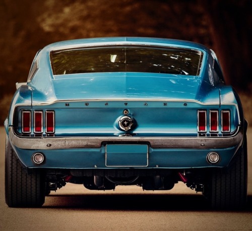 utwo:1967 Ford Mustang Fastback© gerling racing