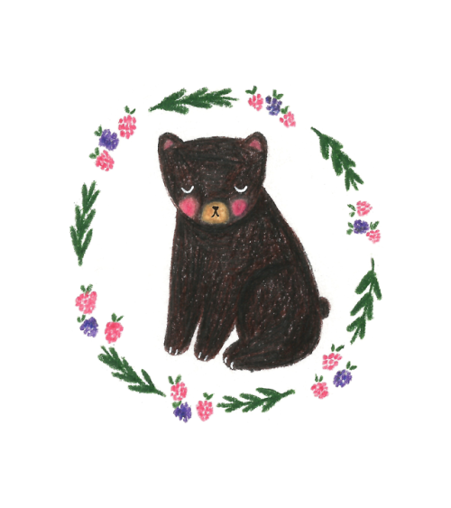 black bear on Tumblr