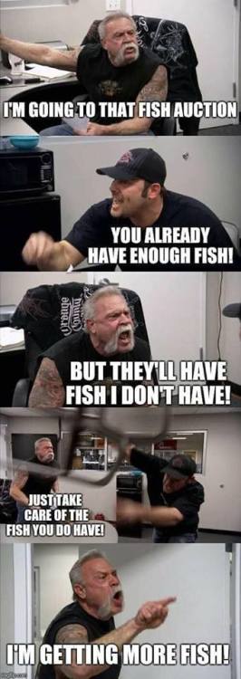 moonlandingwasfaked:Niche memes are the best and I love fish...