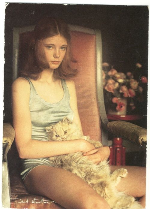 hortusapertus:David Hamilton