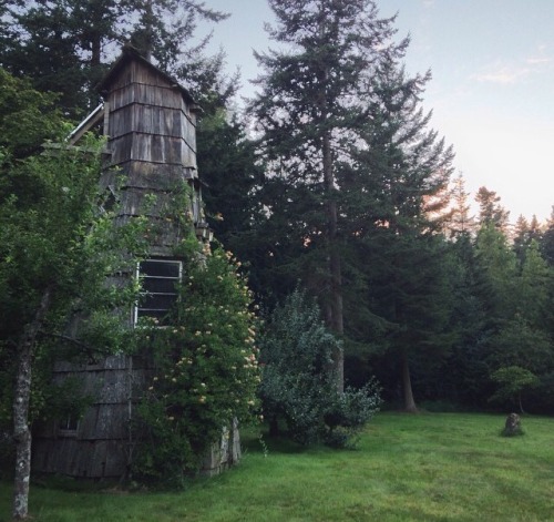 kelll-y:Washington is a magical fairy kingdom