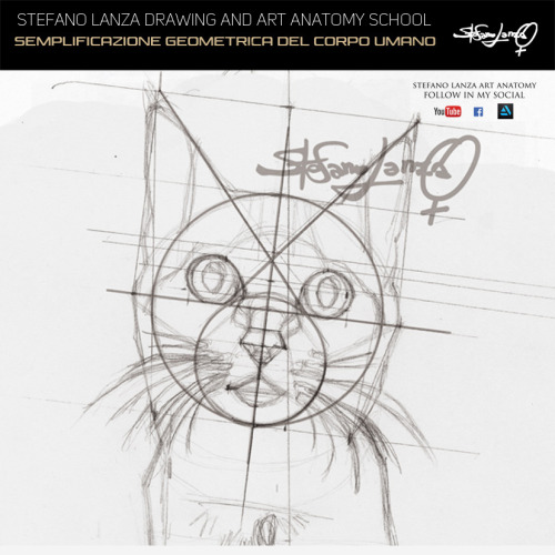 stefanolanza