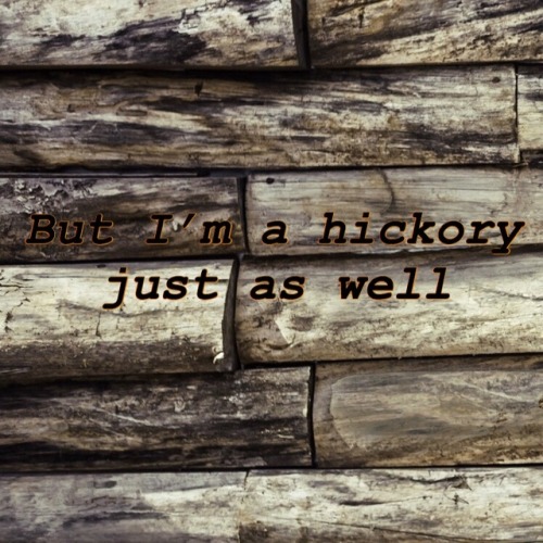 Tyler Childers lyrics | Tumblr