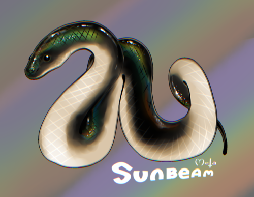 metapuns:Sunbeam snake