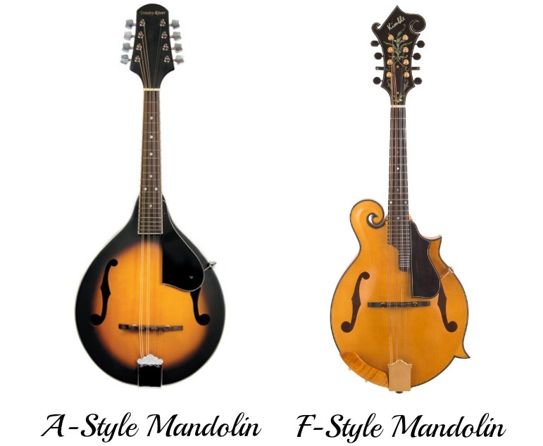 tefview mandolin tabs