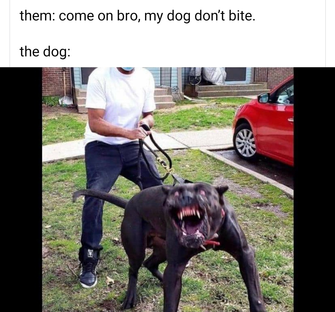 My dog doesan't bite-funny memes 