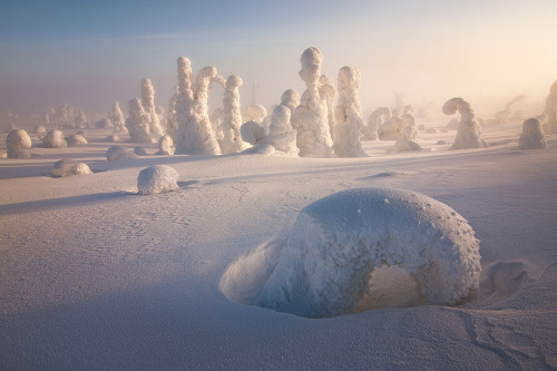 konstperspektiv:Finish Landscape / Sentinels of the Arctic II,...