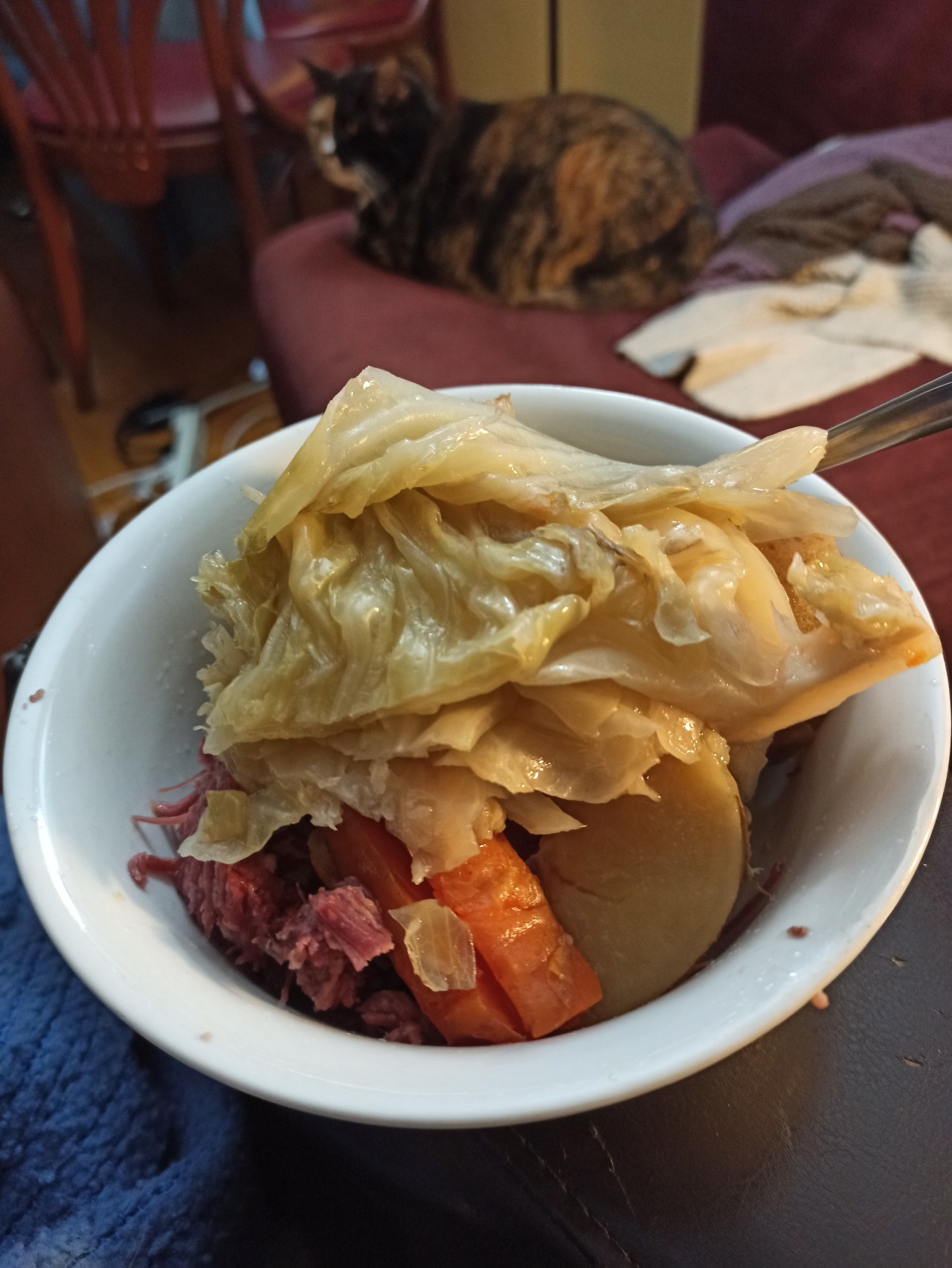 Corned Beef And Cabbage On Tumblr