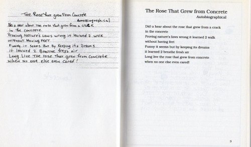 The Rose That Grew From Concrete Book