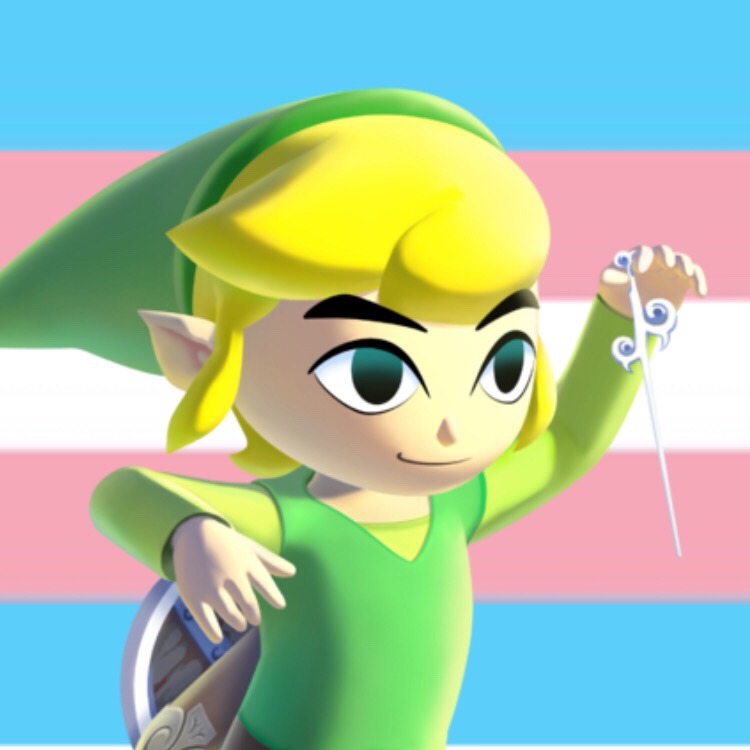 Its Cannon I Swear Toon Link From Windwakerthe Legend Of - 