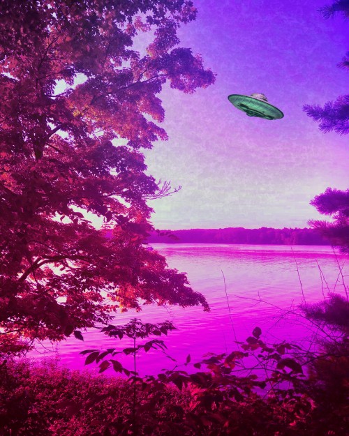 poisonvoid75