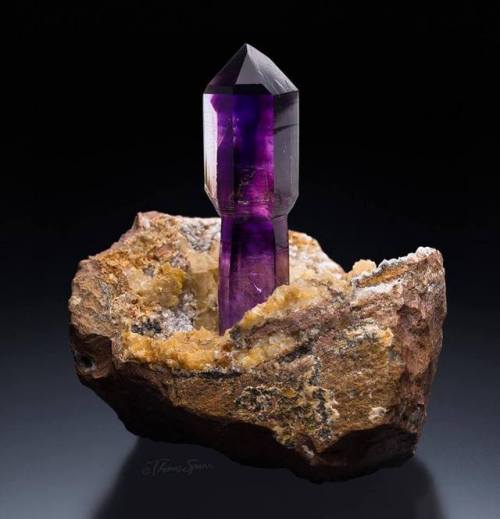 geologyin-blog:Stunning Amethyst crystal scepter from...