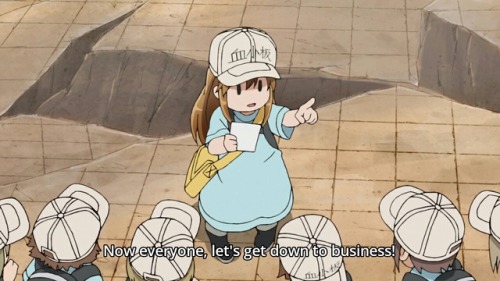 platelets cells at work platelets cells at work