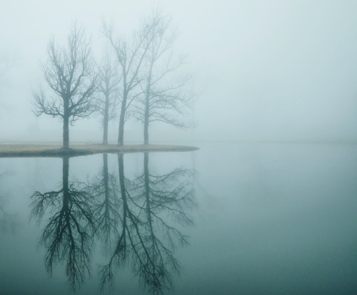 landscape reflection foggy morning nikon d7000 southern illinois lensblr artists on tumblr photographers on tumblr vscofilm vscogood fog