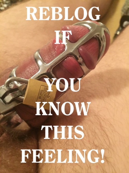 @Lock me up in chastity.