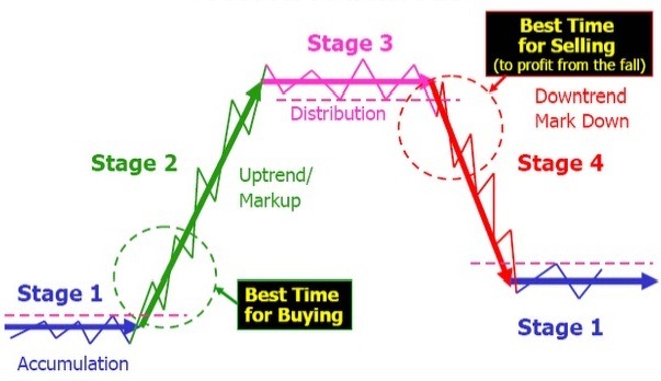 Forex Signals Trading Cycles - 