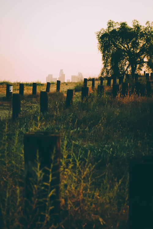 matthewgrantanson:Peeking, Los Angeles – August 4th,...