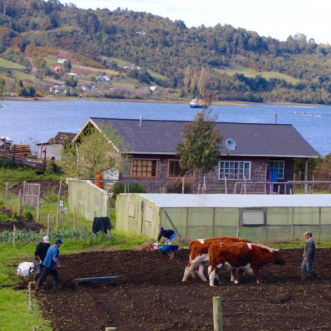 In the Huito region outside of Puerto Varas,... - Paula ...