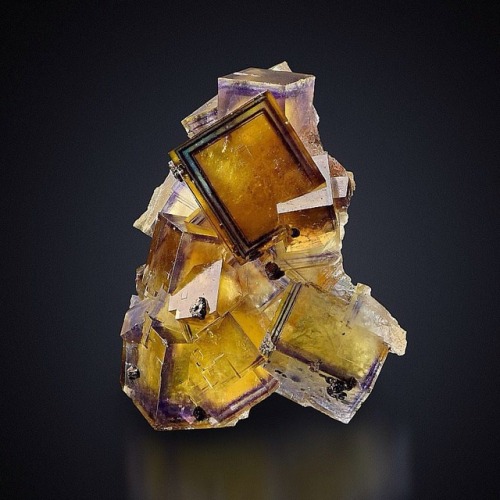 geologypage:“ Fluorite With Chalcopyrite | #Geology # ...