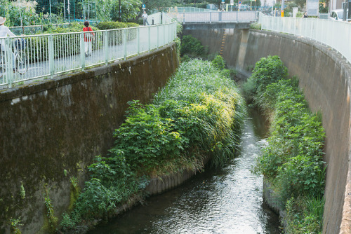 yokosuke3:久我山