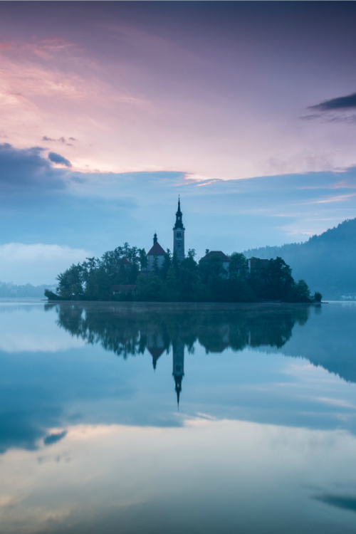 tulipnight:Magical Bled by Brandon Donnelly