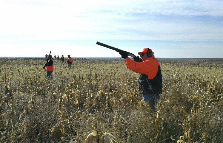 vpbiden:
“This Day in History: February 11th, 2006: Vice President Dick Cheney accidentally shoots his friend in the face while hunting
”
What this day in history needed was more guns.