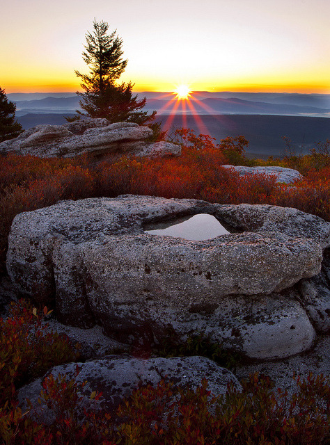 Bear Rocks Preserve Sunburst Dolly Sods Wilderness West 