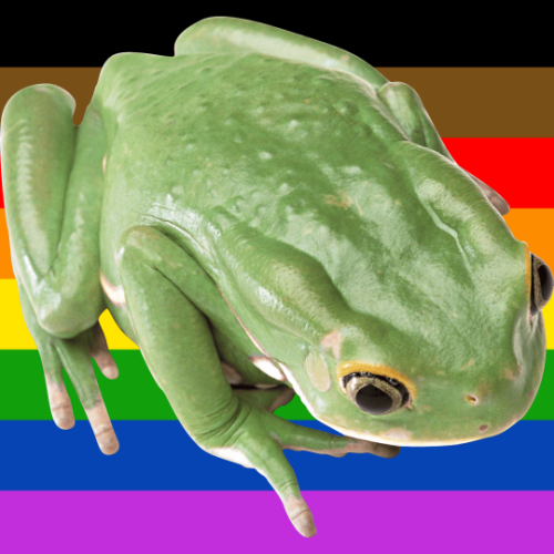 sushi-stims:Chemically Altered Gay Frog Stimboard for anon !x...