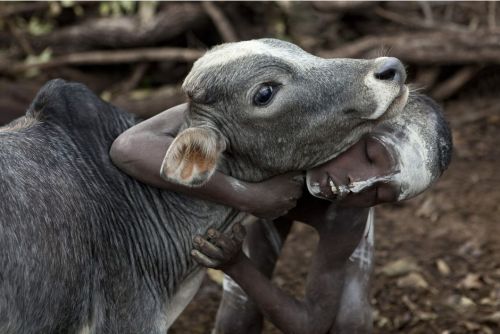 fotojournalismus:The Omo Valley, EthiopiaPhotographs by Hans...