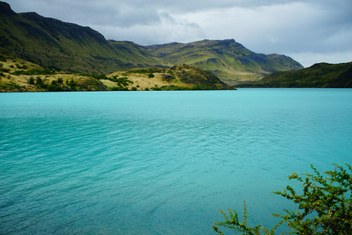 90377:Chile Patagonia by Elaine Chen